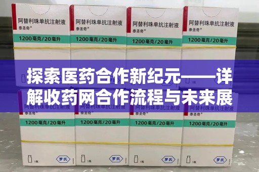烟台探索医药合作新纪元——详解收药网合作流程与未来展望