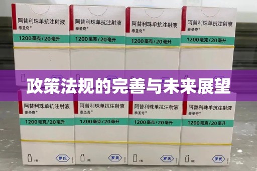 烟台政策法规的完善与未来展望