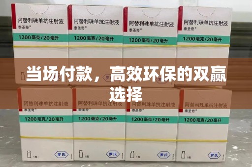 烟台当场付款，高效环保的双赢选择